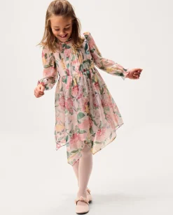 Agnes Long Sleeve Floral Chiffon Dress Multi