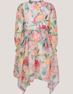 Agnes Long Sleeve Floral Chiffon Dress Multi