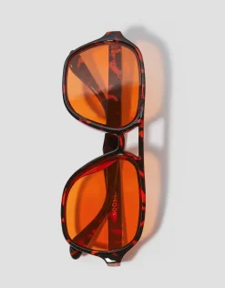 Amber Tort Aviator Sunglasses