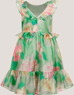 Blurry Floral Organza Ruffle Dress Green