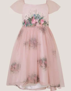 Charlotte Short Sleeve Floral Tulle Dress Pink