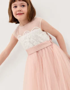 Cynthia Corded Lace Party Dress Pink