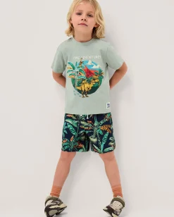 Dinosaur Print T-Shirt & Shorts Set Green