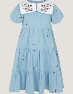 Floral Embroidered Collar Dobby Dress Blue