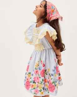 Floral Stripe Broderie Sleeve Dress Blue