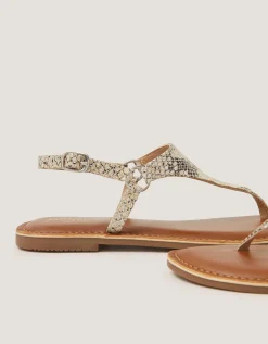Immy Animal Print Leather Toe Post Sandals Natural