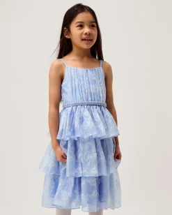 Lily Floral Print Tiered Dress Blue