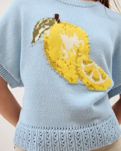 Lizzie Lemon Short Sleeve Jumper Blue