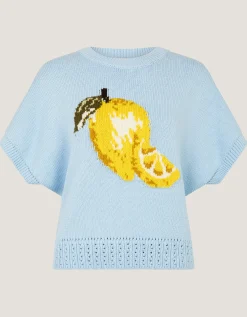 Lizzie Lemon Short Sleeve Jumper Blue