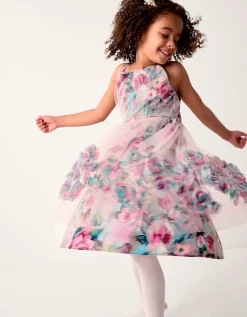 Rose Appliqué Tulle Dress Multi