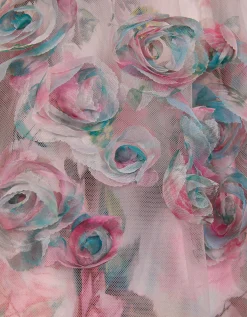 Rose Appliqué Tulle Dress Multi