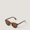 Tort Preppy Sunglasses