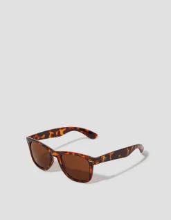 Wayfarer Sunglasses Brown